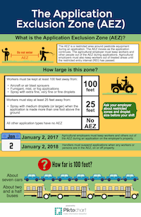 image of infographic