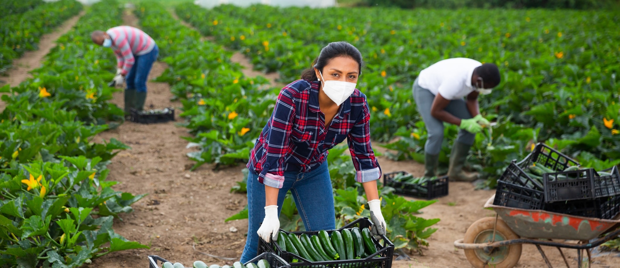 Workers